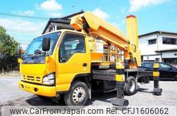 isuzu elf-truck 2008 CFJ1606062