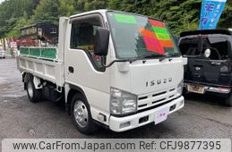 isuzu elf-truck 2013 GOO_NET_EXCHANGE_1100798A30240608W001