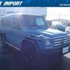 mercedes-benz g-class 2018 quick_quick_463348_WDB4633482X295916 image 19