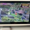 daihatsu move-canbus 2016 CFJ1545857 image 18