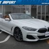 bmw 8-series 2019 quick_quick_BC30_WBAFY22000BJ07529 image 16