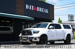 toyota tundra 2010 GOO_NET_EXCHANGE_0401599A30250626W002