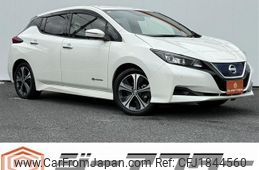 nissan leaf 2019 CFJ1844560