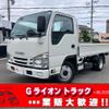 isuzu elf-truck 2020 GOO_NET_EXCHANGE_0730189A30250521W002 image 1