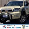 toyota hilux-surf 2004 quick_quick_CBA-TRN215W_TRN215-0001025 image 1