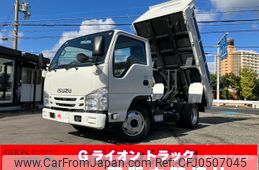 isuzu elf-truck 2020 GOO_NET_EXCHANGE_0730189A30241129W001