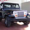 jeep wrangler 1993 17122512 image 1