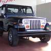 jeep wrangler 1993 CFJ0673450 image 1