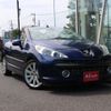 peugeot 207 2007 -PEUGEOT--Peugeot 207 ABA-A7C5FX--VF3WB5FXC33818423---PEUGEOT--Peugeot 207 ABA-A7C5FX--VF3WB5FXC33818423- image 20