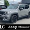 jeep renegade 2019 quick_quick_BU13_1C4BU0000KPK56537 image 1