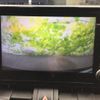 toyota rav4 2021 quick_quick_6BA-MXAA52_MXAA52-5004641 image 11