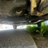 mazda demio 2010 -MAZDA--Demio DBA-DE3FS--DE3FS-293164---MAZDA--Demio DBA-DE3FS--DE3FS-293164- image 11