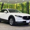 mazda cx-3 2021 CFJ1573892 image 17