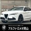 alfa-romeo stelvio 2022 CFJ1798090 image 1
