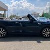 mini mini-others 2017 CFJ1752778 image 12