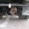 isuzu elf-truck 2006 GOO_NET_EXCHANGE_0560133A30250528W004 image 8