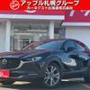 mazda cx-3 2019 CFJ1758391 image 1