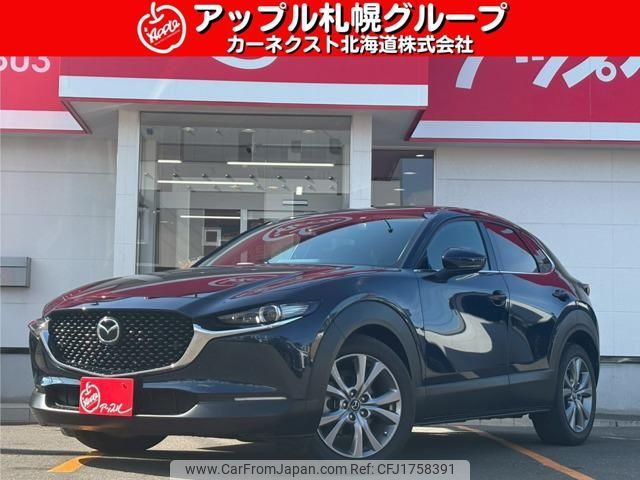 mazda cx-3 2019 CFJ1758391 image 1