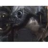 daihatsu tanto 2012 -DAIHATSU--Tanto DBA-L375S--L375S-0555043---DAIHATSU--Tanto DBA-L375S--L375S-0555043- image 5
