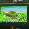 toyota roomy 2016 quick_quick_DBA-M900A_M900A-0003753 image 10