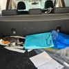 subaru impreza-wagon 2015 CFJ1763678 image 10