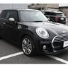 mini mini-others 2017 CFJ1839854 image 4