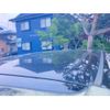 toyota vellfire 2011 -TOYOTA--Vellfire DBA-ANH20W--ANH20-8178346---TOYOTA--Vellfire DBA-ANH20W--ANH20-8178346- image 11