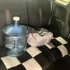 honda n-box 2018 CFJ1518634 image 14