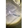 mazda scrum-van 2018 CFJ1744526 image 26