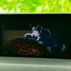 mazda cx-8 2018 quick_quick_3DA-KG2P_KG2P-203648 image 12