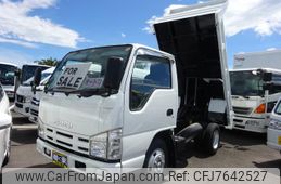 isuzu elf-truck 2007 GOO_NET_EXCHANGE_0900002A30220704W012