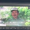 honda n-box 2017 CFJ1631462 image 14