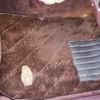 nissan cedric 1987 CARSENSOR_JP_AU4475663213 image 18