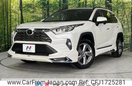 toyota rav4 2019 CFJ1725281