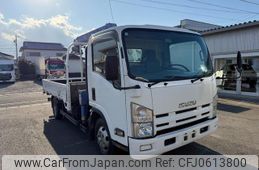 isuzu elf-truck 2008 GOO_NET_EXCHANGE_0201661A30250103W001