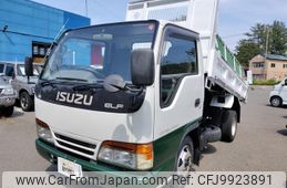 isuzu elf-truck 1995 GOO_JP_700090373030240622003