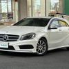 mercedes-benz a-class 2014 -MERCEDES-BENZ--Benz A Class DBA-176042--WDD1760422J197234---MERCEDES-BENZ--Benz A Class DBA-176042--WDD1760422J197234- image 22