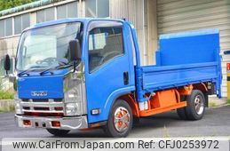 isuzu elf-truck 2010 quick_quick_BKG-NMR85R_NMR85-7012838