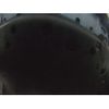 honda fit 2020 -HONDA--Fit GR1-1006112---HONDA--Fit GR1-1006112- image 12