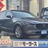 mazda cx-3 2023 -MAZDA--CX-30 3DA-DM8P--DM8P-208745---MAZDA--CX-30 3DA-DM8P--DM8P-208745- image 1