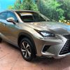 lexus nx 2020 CFJ1791248 image 16