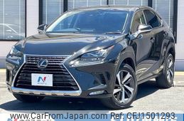 lexus nx 2019 CFJ1501293