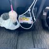 daihatsu wake 2018 -DAIHATSU--WAKE DBA-LA710S--LA710S-0026700---DAIHATSU--WAKE DBA-LA710S--LA710S-0026700- image 21