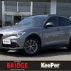 alfa-romeo stelvio 2020 CFJ1627428 image 1