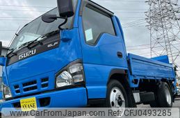 isuzu elf-truck 2006 GOO_NET_EXCHANGE_0500521A30241126W001