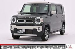 suzuki hustler 2024 CFJ1675189