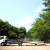isuzu elf-truck 2016 CFJ1490261 image 2