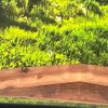 mazda cx-3 2020 -MAZDA--CX-30 5BA-DMEP--DMEP-114941---MAZDA--CX-30 5BA-DMEP--DMEP-114941- image 6