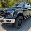 ford f150 2016 GOO_NET_EXCHANGE_0707911A30240822W001 image 9