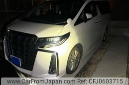 toyota alphard 2019 -TOYOTA--Alphard DBA-AGH30W--AGH30-0243936---TOYOTA--Alphard DBA-AGH30W--AGH30-0243936-